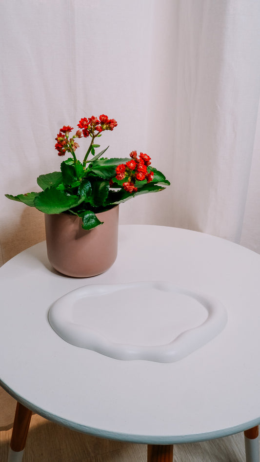 Svuotatasche Bombato