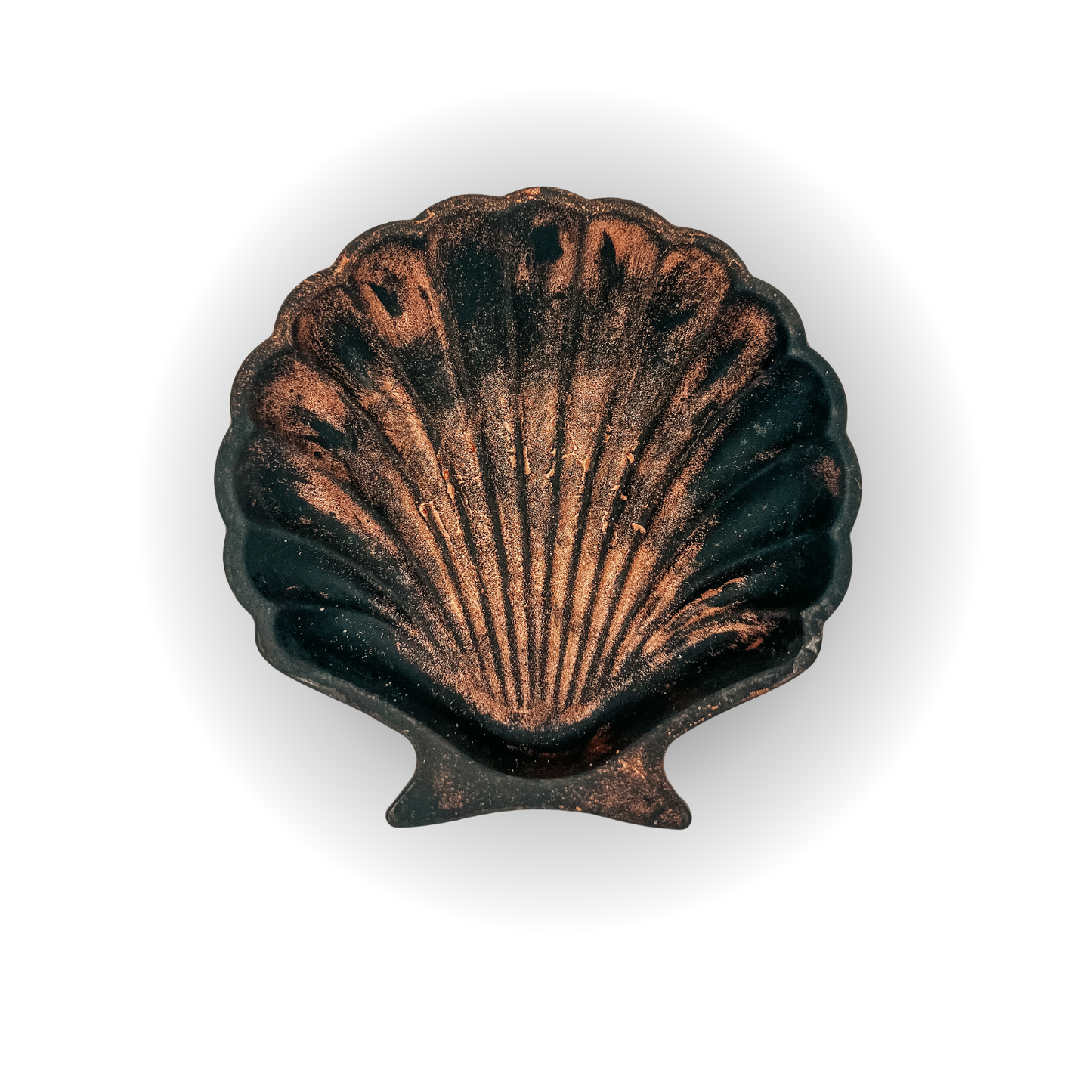 Svuotatasche Conchiglia